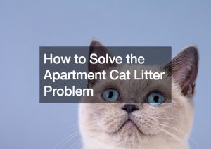 How to Solve the Apartment Cat Litter Problem